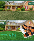 Before and after using 2026 Aluminum Alloy Base Plate Lawn Aerator Shoes With Adjustable Straps Preassembled Metal Spike Boots For Lawn Aeration Durable Easy To Use Heavy Duty Soles Ready To Roll Right Out Of The Box