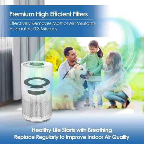 Replacement Filter 2-Pack For Vremi And Hokeki Air Purifiers, 3-Stage High-Efficiency Filter With Activated Carbon next to family