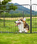 Dog resting inside outdoor metal pen on grassy field with mountain and trees in background surrounded by wire fencing.