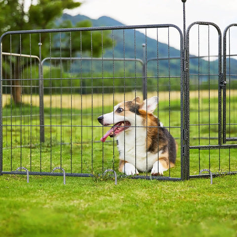 Dog resting inside outdoor metal pen on grassy field with mountain and trees in background surrounded by wire fencing.
