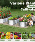 Galvanized Raised Garden Bed Outdoor 4x2x1ft Two Pack, Heavy Duty Metal Planter Boxes for Gardening with various plants.