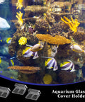 Heavy Duty Aquarium Lid Clips For Rimless Fish Tank Six Pack Glass Top Holders with transparent clips seen in coral reef aquarium.