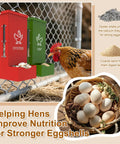 Heavy Duty Metal Chicken Feeder And Oyster Shell Dispenser, red and green dual hoppers for poultry nutrition, coop accessory