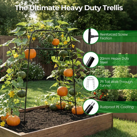 Heavy Duty Garden Arch Trellis For Climbing Plants With Screw Fixation, rustproof steel frame holding pumpkins in raised bed.