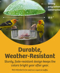 Clear Dome Bird Feeder Rain Guard Ten And A Half Inch Weather Shield protecting birds from rain, featuring durable polycarbonate.