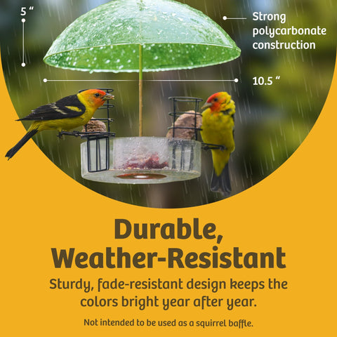 Clear Dome Bird Feeder Rain Guard Ten And A Half Inch Weather Shield protecting birds from rain, featuring durable polycarbonate.