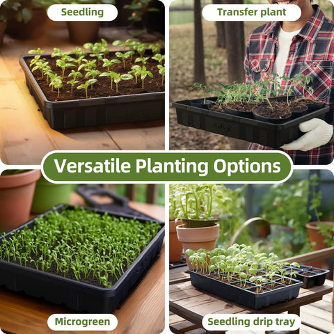 Collage showing Extra Thick Heavy Duty Seed Starting Trays Set Of 10 No Holes with seedlings and microgreens in different uses.