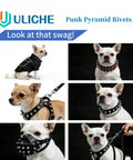 Dogs wearing punk style gear using 559 Piece Punk Studs And Spikes Kit With Cone Square Pyramid And Circular Rivets For DIY Clothing.