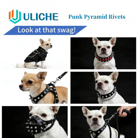 Dogs wearing punk style gear using 559 Piece Punk Studs And Spikes Kit With Cone Square Pyramid And Circular Rivets For DIY Clothing.