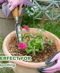 Grab And Go Narrow Garden Trowel For Transplanting And Weeding Stainless Steel Widger With Wood Handle used for repotting.