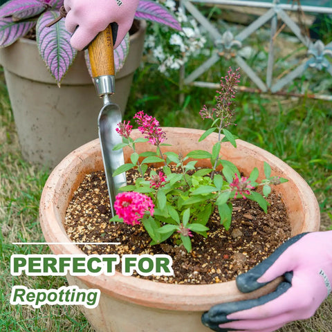 Grab And Go Narrow Garden Trowel For Transplanting And Weeding Stainless Steel Widger With Wood Handle used for repotting.
