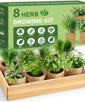 Ultimate Easy-Peasy 8 Herb Indoor Garden Starter Kit for Newbies with Seeds Dill Sage Mint Parsley and More Complete Set