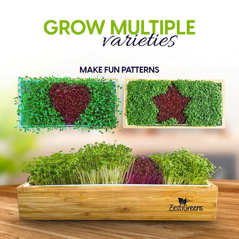Self Watering Microgreens Kit For Indoor Growing, Reusable Tray With Grow Mats And Bamboo Frame, No Soil Starter On Table