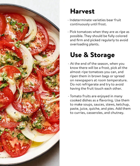 Salad with sliced tomatoes, onions, and herbs, text on harvest and storage tips for indeterminate tomatoes.
