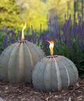 Golden Barrel Cactus Torch Outdoor Yard Art In Weatherproof Steel Large 18 Inch Wide By 13 Inch High Lawn Decor That Burns For 4 To 6 Hours Southwestern Desert Tiki Light For Backyard Vibes in a garden setting