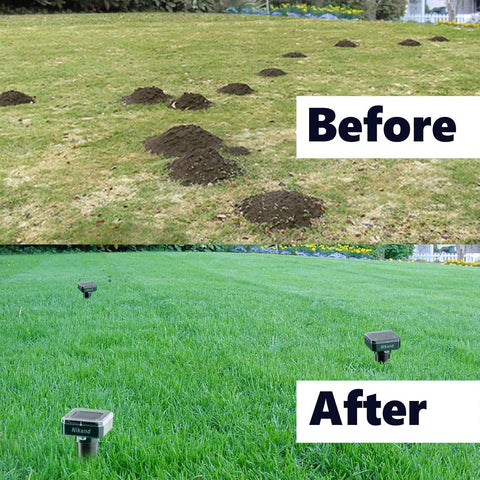 Solar Mole Repellent Ultrasonic 4 Pack For Lawn Garden Yard Home Humane Pest Deterrent for voles and gophers effectiveness