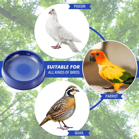 Pigeon Nesting Kit image showing a nest bowl and birds like pigeons, parakeets, and quails against a leafy background.