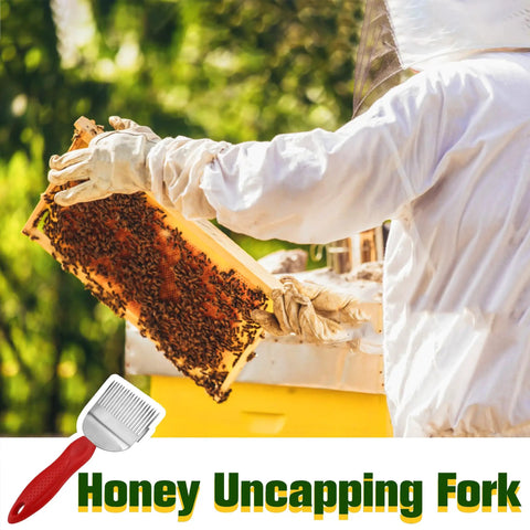 Beekeeping Honey Uncapping Fork With 18 Stainless Steel Tines And Plastic Handle shown with beekeeper holding honey frame