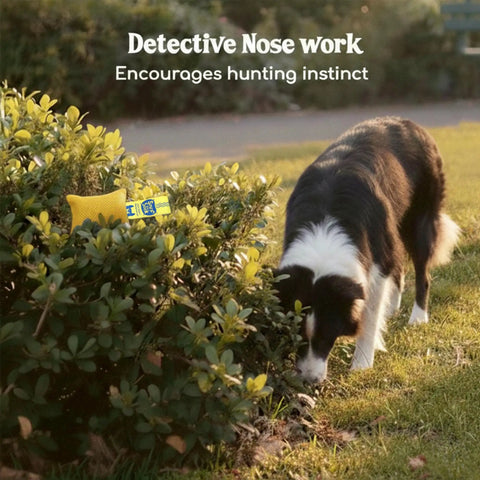 Dog sniffing near a bush with 10 Piece Dog Scent Training Kit For Nose Work And Mental Stimulation Includes Scent Toys Brain Games
