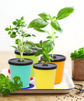 Kratky Method Hydroponic Planter Kit With Eight Planters And Twenty Four Growing Sponges For Herbs And Veggies Indoor Window Sill Garden System