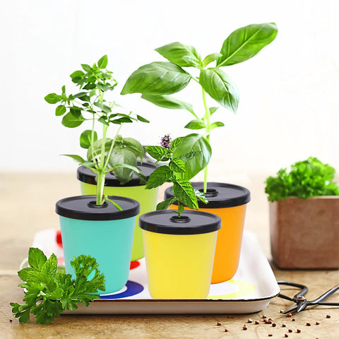 Kratky Method Hydroponic Planter Kit With Eight Planters And Twenty Four Growing Sponges For Herbs And Veggies Indoor Window Sill Garden System