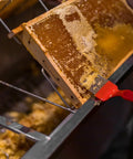 Beekeeping Uncapping Fork With 18 Pin Stainless Steel Tines And Yellow Handle For Fast Honey Extraction in use on honeycomb frame.