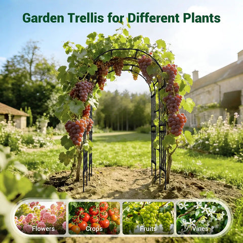 Walk Through Garden Arch Trellis For Climbing Plants Outdoor 3.9x7.9 Feet Steel With PE Coating Weather Resistant Black Garden Arbor in garden