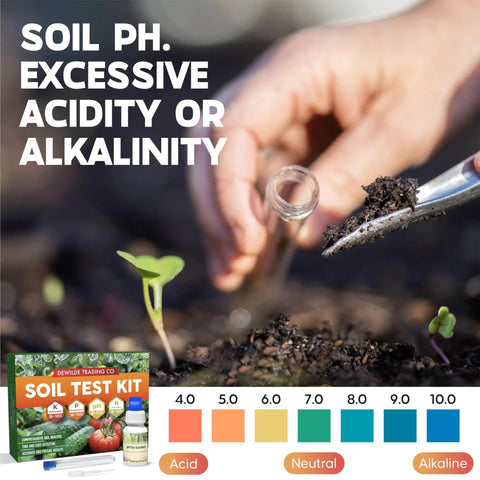 Person testing soil pH with All In One Soil Test Kit With 140 Tests 2026 Version for gardening and soil health assessment.