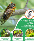 Cicada on netting, promoting cicada netting protection for trees and gardens, suitable for young plants and shrubs during cicada season.