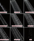Collage of nine spray patterns from the 9-Spray Touch-Clean Handheld Shower Head With Hose Wall Mount Chrome Finish Boss Full-Body Spray