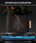 Diagram showing Gravity-Fed Self-Watering System 4-Pack With 13 Gallon Reservoir, illustrating root hydration in indoor plants.