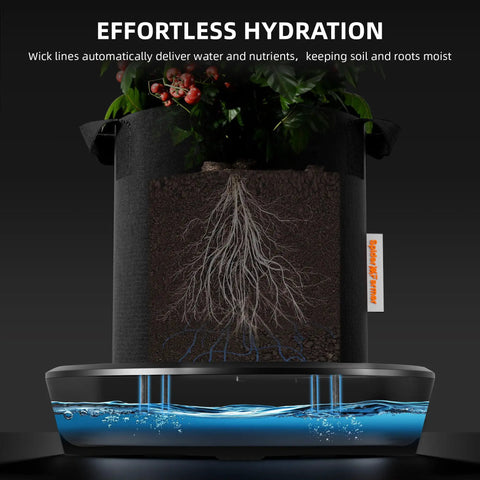 Diagram showing Gravity-Fed Self-Watering System 4-Pack With 13 Gallon Reservoir, illustrating root hydration in indoor plants.