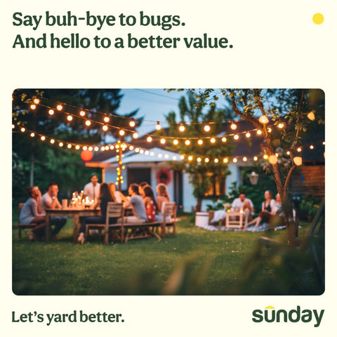 Backyard evening with lights and people enjoying, using Ant Adios Outdoor Bug And Ant Killer With Spinosad for insect control