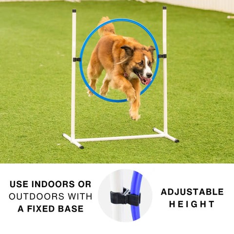 Dog jumping through tire jump, part of Backyard Dog Agility Starter Kit With 10 Foot Tunnel, Tire Jump, Bar Jump, Weave Poles, Sandbags And Pause Box For Home Training, A 5 Piece Agility Set For Active Pups And Beginners