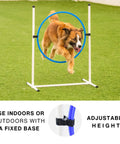 Dog jumping through adjustable tire in Backyard Dog Agility Set 3 Piece Essential Agility Equipment For Canine Training.