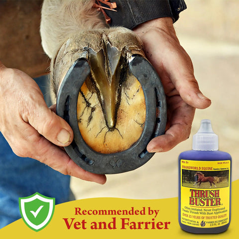 Hoof Care Liquid for Horses Thrush Treatment with Purple Stain Formula Easy to Apply to Keep Hooves Healthy in Wet or Muddy Conditions 2 Oz