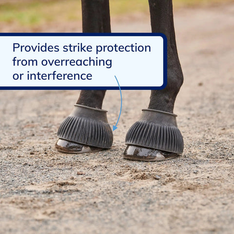 Pair Of Horse Bell Boots Rugged Rubber Overreach Protection For Horses Large Size Black Protective Equine Boot Set on hooves