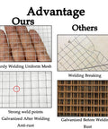 Comparison showing Beefy Heavy Duty One Quarter Inch Hardware Cloth Four By Ten Foot Galvanized After Welding Twenty Three Gauge Wire Mesh advantages: sturdy welding, anti-rust.