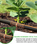 Drip Irrigation Barbed Coupling Set, 20 Pack, 1/2 Inch Tubing Fittings For 17mm 0.600 Inch ID Drip Lines, Connectors For Patio Lawn Garden, No Fuss Install, Durable, Leak Free in use in a garden showing a close-up view of the coupling.