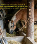 Horse in stable using Stainless Steel Horse Tie Ring Kit With Magnetic Fastening System, showcasing equestrian gear.