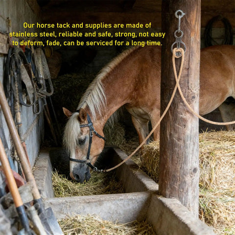 Horse in stable using Stainless Steel Horse Tie Ring Kit With Magnetic Fastening System, showcasing equestrian gear.