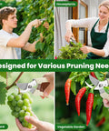 2 Pack Garden Pruning Shears With Sharp Bypass Blades, Stainless Steel Hand Pruners used on branches, houseplants, grapes, peppers