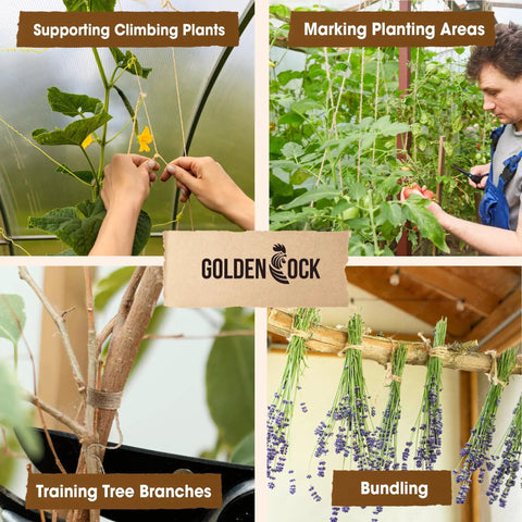 2mm Natural Jute Twine Rope 164 Ft Eco Friendly DIY Crafting String For garden projects like plant ties and bundling