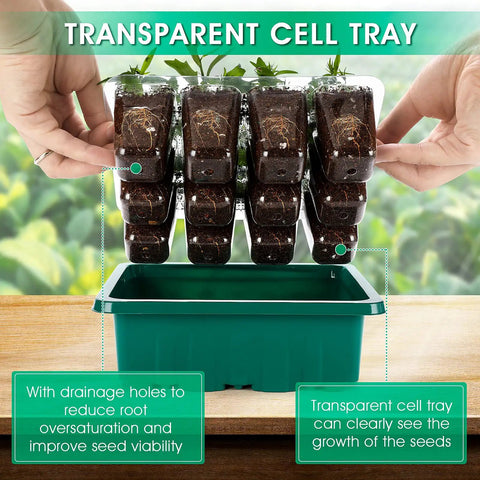 Seed Starter Tray With Grow Light Kit Six Pack Of 12 Cell Trays With Humidity Domes Adjustable Humidity From 50 To 100 Percent Indoor Gardening Germination System For Easy Seed Starting Ideal For Beginners And DIY Growers
