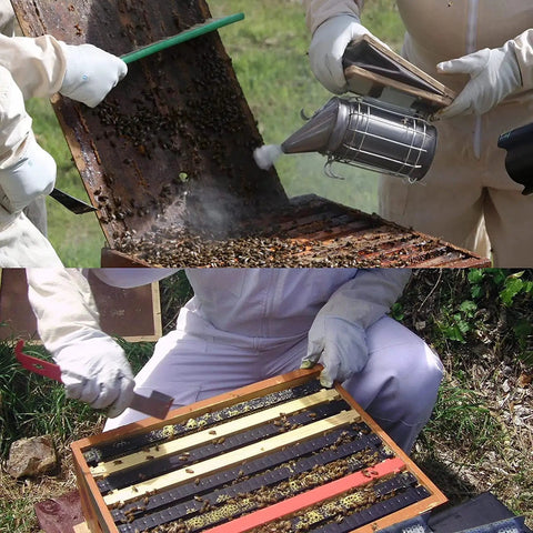 Beekeepers using Sturdy Stainless Bee Hive Smoker Kit With Heat Shield Pro Beekeeping Gear With Two Hive Tools for hive work