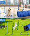 Indoor and outdoor setup of Backyard Dog Agility Course Set All In One Obstacle Kit With Pro Grade Hurdles Jump Ring 8 Weave Poles Tunnel