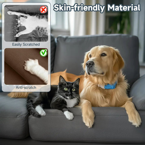 Dog and cat on sofa with skin-friendly, anti-scratch upholstery, showing contrast between easily scratched and durable material.