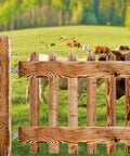 Hecka Sturdy 10 Inch J Bolt Gate Hinges Wall Mount Two Pack on a wooden fence in a pasture with cattle.