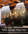 Two 2ft Outdoor Wall Washer Light Bar Pair 36W 5000K Daylight White LED illuminating a garden and building facade at night