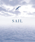 Open ocean scene with seagull soaring above, text 'SAIL' over water, evoking adventure and freedom